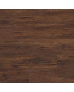 BRALY, VTRXLBRAL9X60-6.5MM-20MIL, XL PRESCOTT, MSI