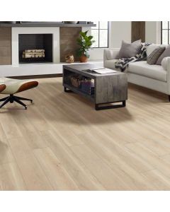 SHAW, FLOORTE PRO, PARAGON HD PLUS, CAMBRIDGE, 3038V-02048
