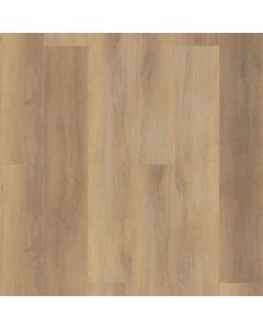 CANTERBURY ELM, 02093, CORETEC PRO PLUS HD 9, VV488