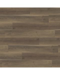 PARADIGM CARDINAL PPPSPC2019 PERFORMER PLUS COLLECTION