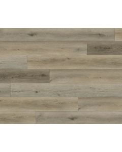 PARADIGM CASHEW PPSPC2021 PERFORMER 20MM COLLECTION