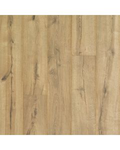 CAVALRY OAK, CDL91-02, CASTLEBRIAR, BY MOHAWK