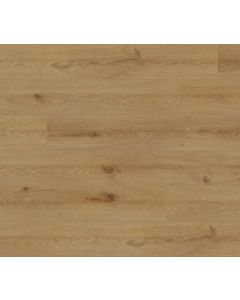 Megaclic Cedar MCAS-3117 — close-up plank, overhead view