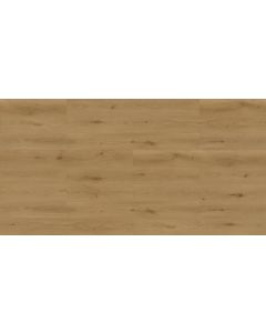 Megaclic Cedrano MCST-2305 — close-up plank, overhead view