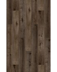 CELESTIAL CLICK PLANK