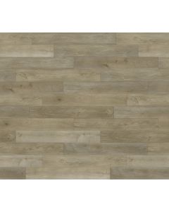 PARADIGM CHAMBER CON2035PAD CONQUEST COLLECTION