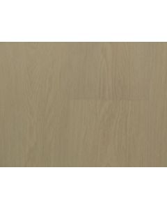 BELAIR CHAMPAGNE SHIMMER GOLDEN ELEGANCE COLLECTION