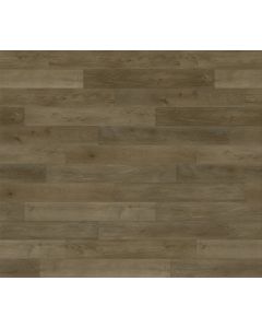 PARADIGM CHANCELLOR CON2037PAD CONQUEST COLLECTION