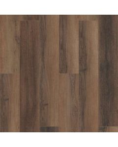 CHESHIRE ELM, 02094, CORETEC PRO PLUS HD 9, VV488