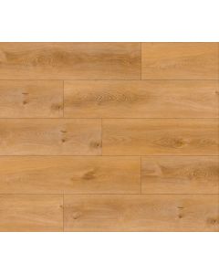Megaclic Cornwell MCAS-3202 — close-up plank, overhead view
