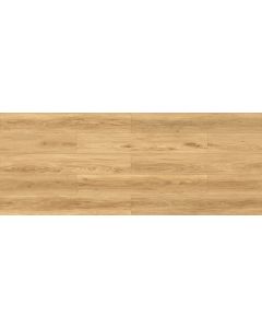 Megaclic Dawson MCDN-8713 — close-up plank, overhead view