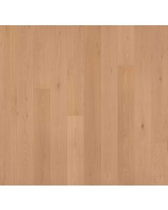 GARRISON, DOMA, GFALO7503, ALLORA COLLECTION