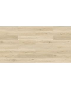 Megaclic Draymont MCST-2308 — close-up plank, overhead view