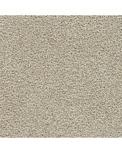 Dreamweaver Captivating II Peanut Brittle Carpet - DW-1030-2880