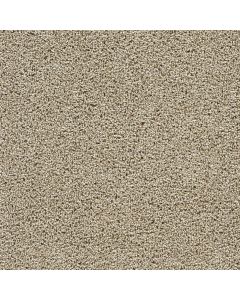Dreamweaver Captivating II Fall Brook Carpet - DW-1030-4446