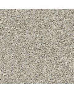 Dreamweaver Captivating II Iron Gate Carpet - DW-1030-785