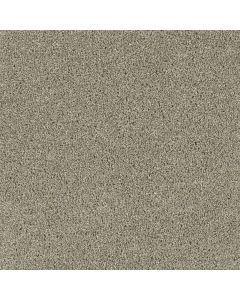 Dreamweaver Acclaim Rhinestone Carpet - DW-1324-116