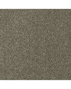 Dreamweaver Acclaim Monaco Carpet - DW-1324-244