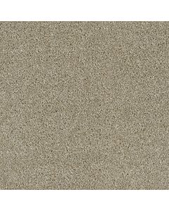 Dreamweaver Acclaim Outback Carpet - DW-1324-298