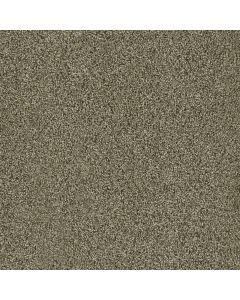 Dreamweaver Acclaim Island Spice Carpet - DW-1324-307