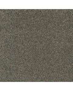 Dreamweaver Acclaim Midnight Shadow Carpet - DW-1324-427