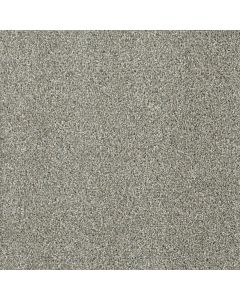 Dreamweaver Acclaim Sandy Trail Carpet - DW-1324-495
