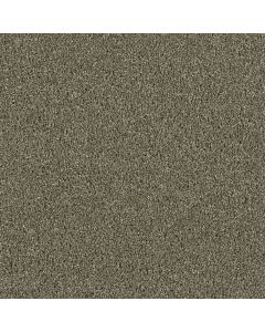 Dreamweaver Acclaim Cinnamon Tea Carpet - DW-1324-528
