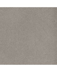 Dreamweaver Beach Club I Ivory Glow Carpet - DW-1325-2957