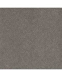 Dreamweaver Beach Club I Encore Carpet - DW-1325-4094