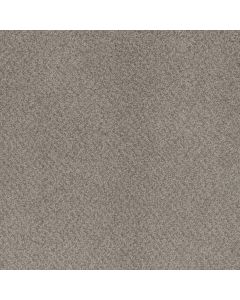 Dreamweaver Beach Club I Sahara Carpet - DW-1325-4269