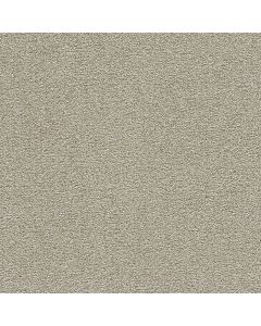 Dreamweaver Clearwater I Wheat Grass Carpet - DW-1345-4181