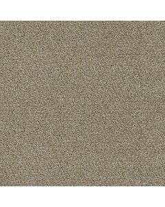 Dreamweaver Clearwater I Toasted Oat Carpet - DW-1345-774