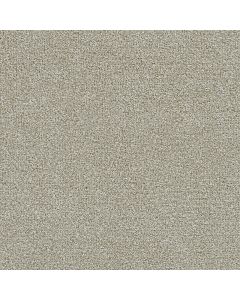 Dreamweaver Clearwater I Barnwood Carpet - DW-1345-781