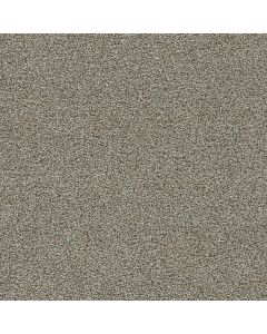 Dreamweaver Clearwater I Iron Gate Carpet - DW-1345-785