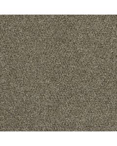 Dreamweaver Clearwater II Dark Truffle Carpet - DW-1360-834