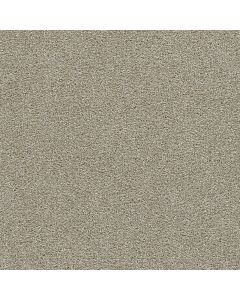 Dreamweaver Clearwater III Wonder Carpet - DW-1370-2524