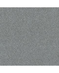 Dreamweaver Clearwater III Moon Glow Carpet - DW-1370-2810