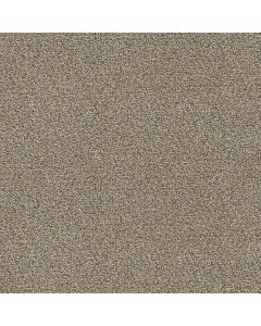 Dreamweaver Clearwater III Toasted Oat Carpet - DW-1370-774