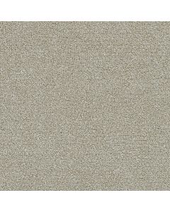 Dreamweaver Clearwater III Barnwood Carpet - DW-1370-781