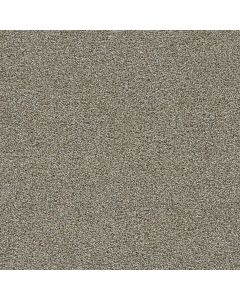 Dreamweaver Clearwater III Iron Gate Carpet - DW-1370-785
