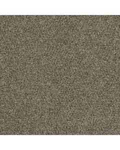 Dreamweaver Clearwater III Dark Truffle Carpet - DW-1370-834