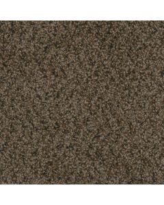 Dreamweaver Step Up Rustic Charm Carpet - DW-1420-383