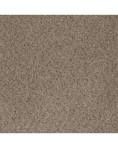 Dreamweaver Step Up Cinder Carpet - DW-1420-835
