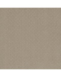Dreamweaver Capri Soft Pine Carpet - DW-1428-6317