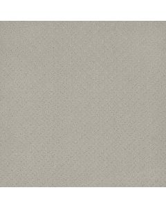 Dreamweaver Capri Snow Cap Carpet - DW-1428-6319