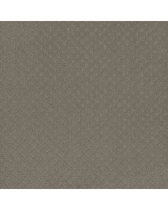 Dreamweaver Capri Timber Ridge Carpet - DW-1428-6841