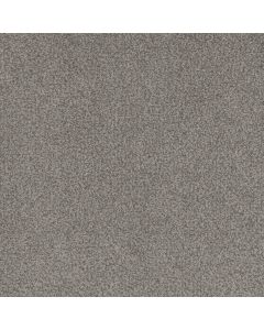 Dreamweaver Beach Club II Pique Carpet - DW-1430-4189