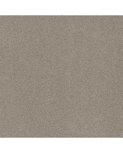 Dreamweaver Beach Club II Haystack Carpet - DW-1430-4285