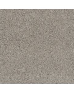 Dreamweaver Beach Club II Pale Sunshine Carpet - DW-1430-4290