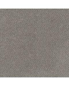 Dreamweaver Beach Club II Spanish Moss Carpet - DW-1430-4379